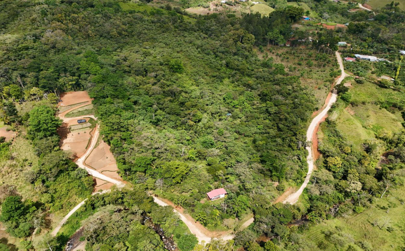 Aerial view of Finca Sylvatica